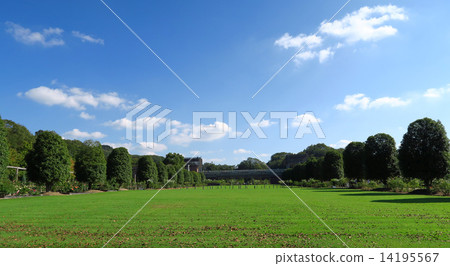 Lawn Square 14195567