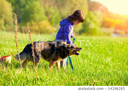 Little girl walking with dog 14196265