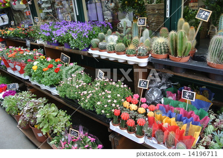 City of Ogi in Paris 14196711