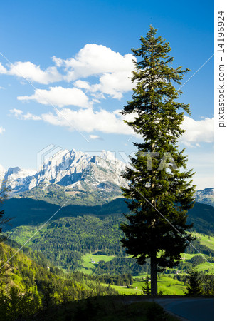 view to Dachstein from the west, Upper Austria-Styria, Austria view to Dachstein from the west, Upper Austria-Styria, Austria 14196924