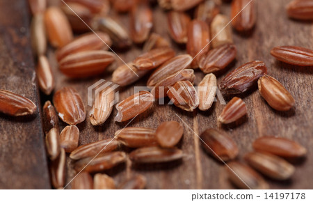 red rice red rice 14197178