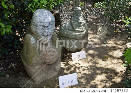 Sarugaki Maiden 14197283