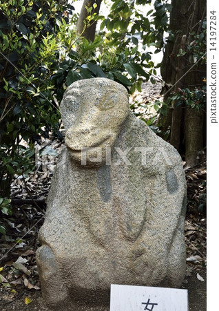 Monkeyoku woman 14197284