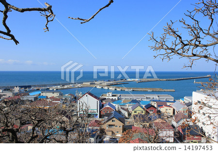 Urakawa鎮·從海嘯撤離現場的風景 14197453