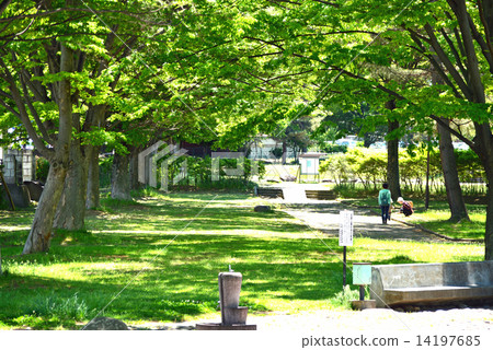 初夏公園 初夏公園 14197685