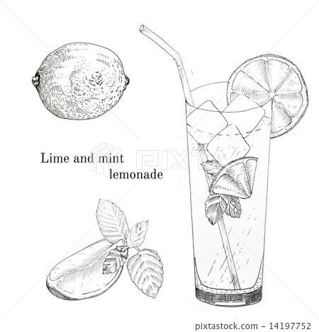 Lime and mint lemonade ink sketch set Lime and mint lemonade ink sketch set 14197752
