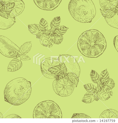 Lime and mint seamless pattern Lime and mint seamless pattern 14197759