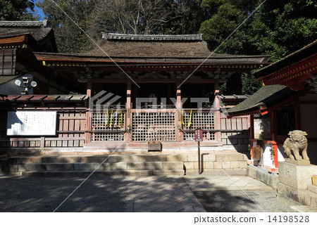 Ishin Shimizu Shrine Wakamatsu Shrine 14198528