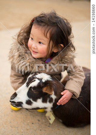 The girl who touches the goat 14198660