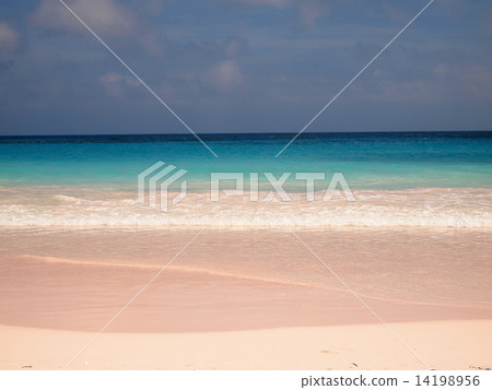 Pink Sand Beach 14198956