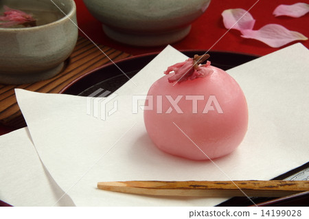 日本甜點櫻花茶櫻花觀賞 日本甜點櫻花茶櫻花觀賞 14199028