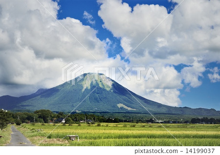 大山 大山 14199037