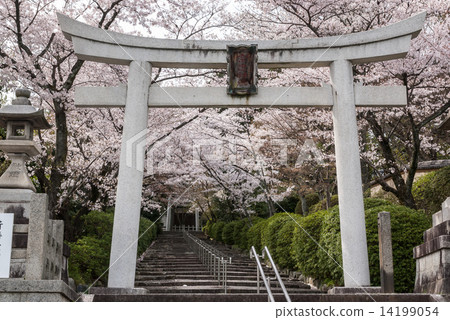 Shogun Shrine Shogun Shrine 14199054