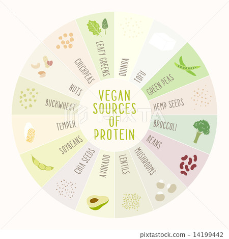 Vegan sources of protein.  14199442