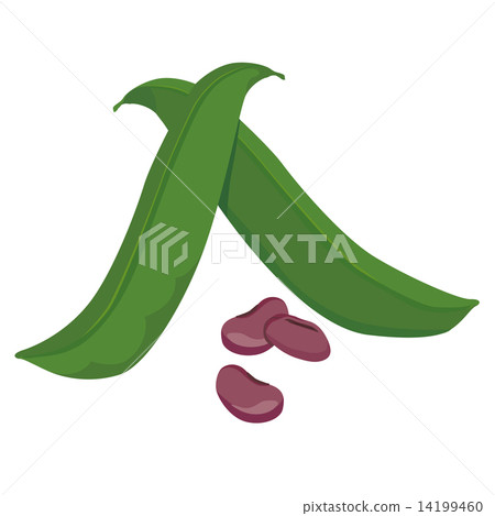 Potato 14199460