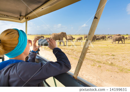 Woman on african wildlife safari. 14199631