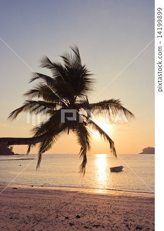 Tropical beach at Mahe island Seychelles Tropical beach at Mahe island Seychelles 14199899