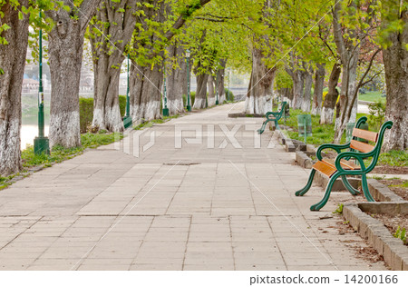 long tree alley long tree alley 14200166