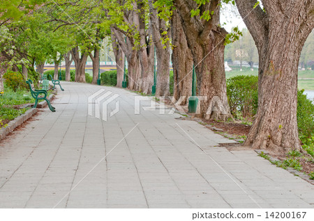 long tree alley long tree alley 14200167