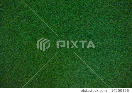 green grass with empty area for text background. Nature background. 14200536