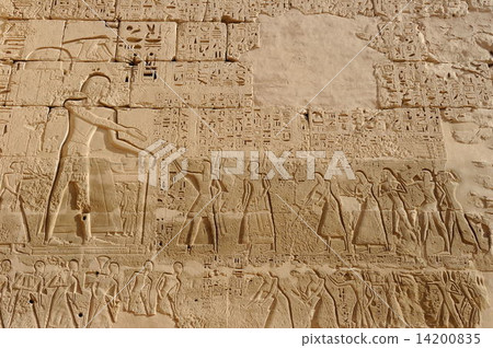 Medinet · Hub 14200835