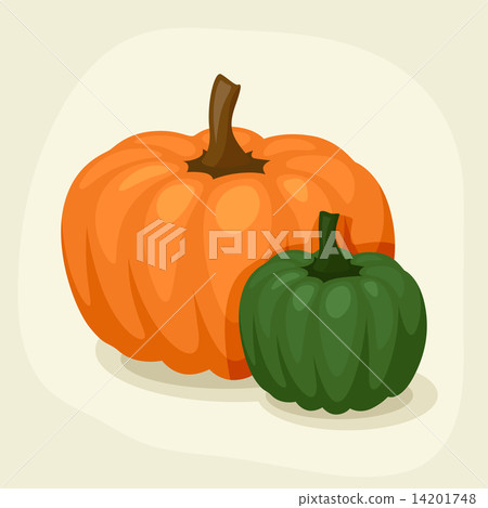 Stylized vector illustration of fresh ripe pumpkins. Stylized vector illustration of fresh ripe pumpkins. 14201748