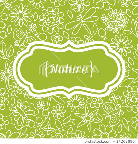 Natural card with beautiful flowers, beetles and butterflies. Natural card with beautiful flowers, beetles and butterflies. 14202096