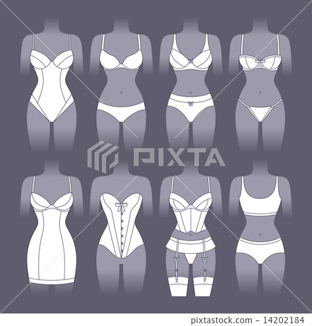 Fashion lingerie set of various female underwear. Fashion lingerie set of various female underwear. 14202184