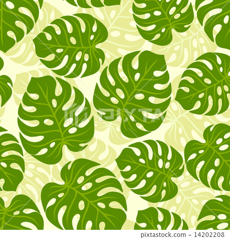Seamless tropical pattern with stylized monstera leaves. Seamless tropical pattern with stylized monstera leaves. 14202208