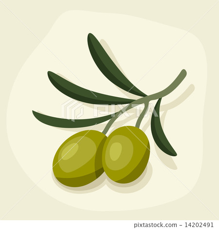 Stylized vector illustration of fresh ripe olive branch. Stylized vector illustration of fresh ripe olive branch. 14202491