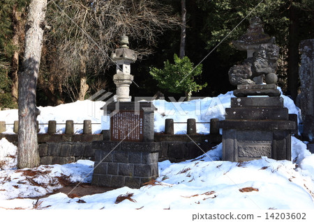 From Iimoriyama 14203602