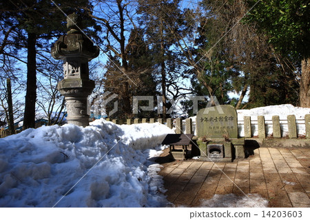 From Iimoriyama 14203603