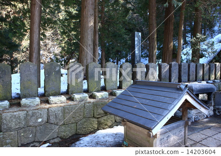 From Iimoriyama 14203604