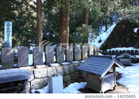 From Iimoriyama 14203605