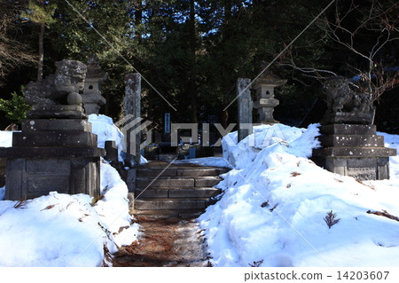 From Iimoriyama 14203607