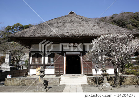 Kamakura / Round Temple Landscape 14204275