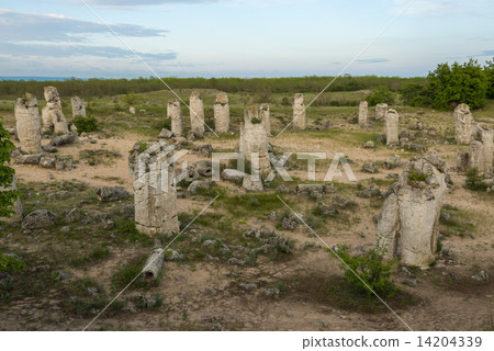 Pobiti kamani - phenomenon rock formations in Bulgaria near Varna 14204339