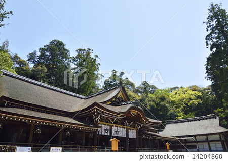 Omiwa Shrine 14204860