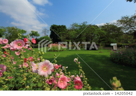 詩麗吉王后公園 詩麗吉王后公園 14205042