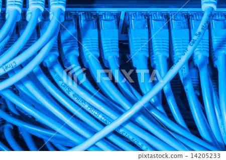 network cables connected to switch 14205233