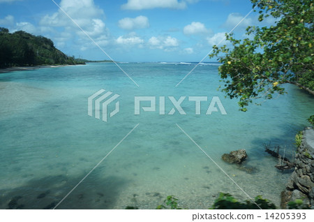 熱帶海 熱帶海 14205393