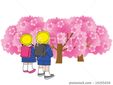 Elementary school students with cherry blossoms and school bags 14205830