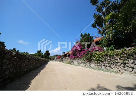 Taketomijima 14205998