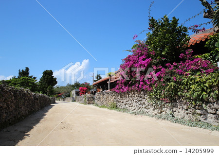 Taketomijima 14205999