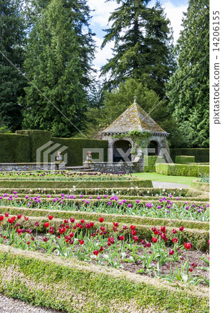 Italian garden of Glamis Castle, Angus, Scotland Italian garden of Glamis Castle, Angus, Scotland 14206155