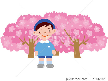 Cherry blossoms in full bloom and boys' children 14206484