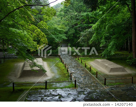 新鮮的綠色 - 下雨的Bunkain 新鮮的綠色 - 下雨的Bunkain 14207140