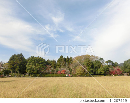 落柿建設 14207339
