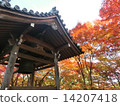 秋天的寺廟 14207418