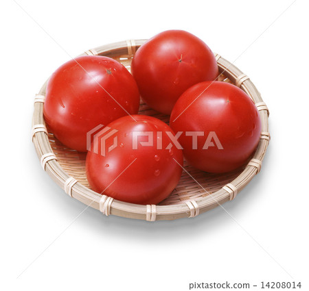 Four tomatoes 14208014